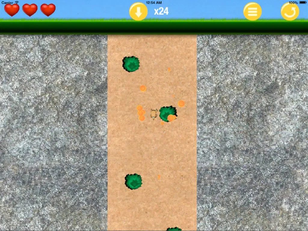 Kiwi - Flappy falling bird iPad  سکرین شاٹس