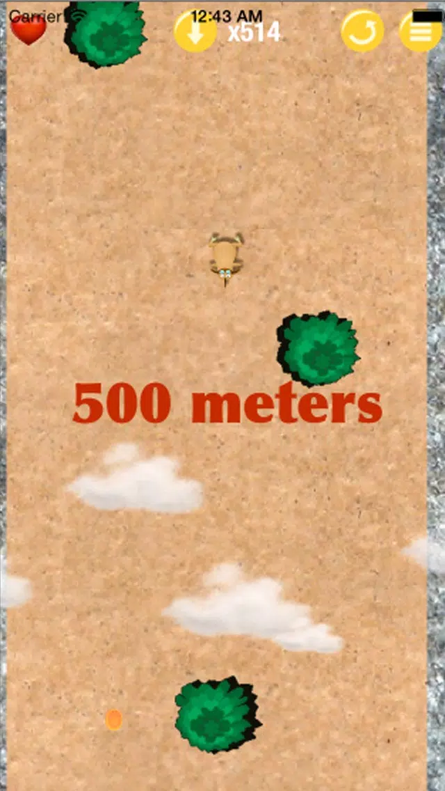 Kiwi - Flappy falling bird Ekran Görüntüleri
