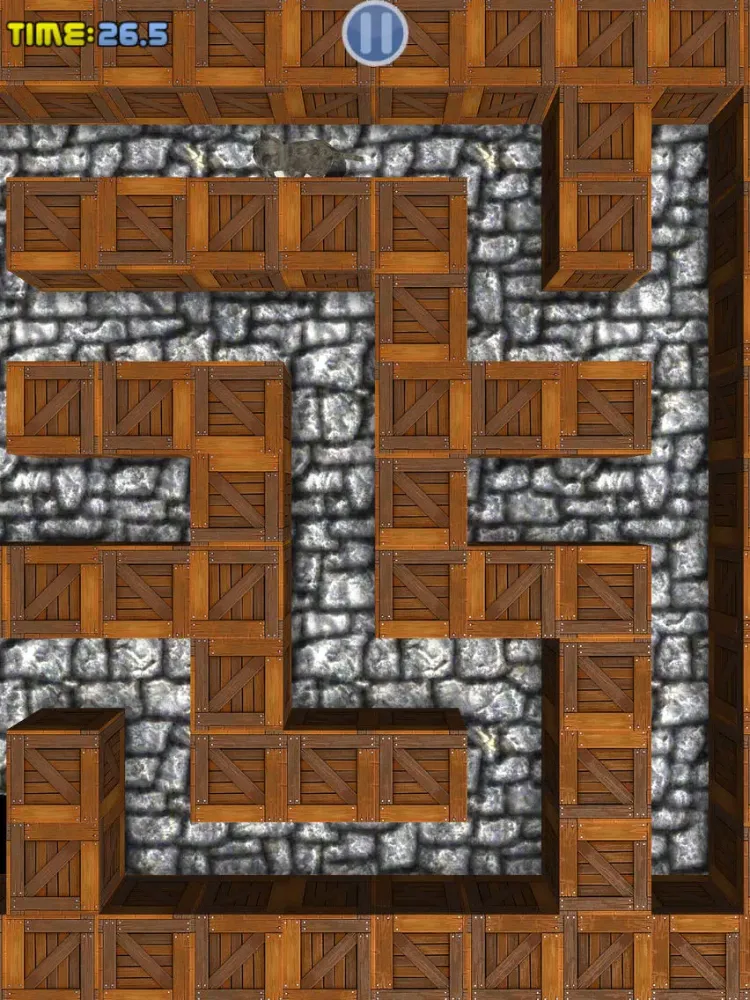 صور Cu Cat Maze Runner iPad 