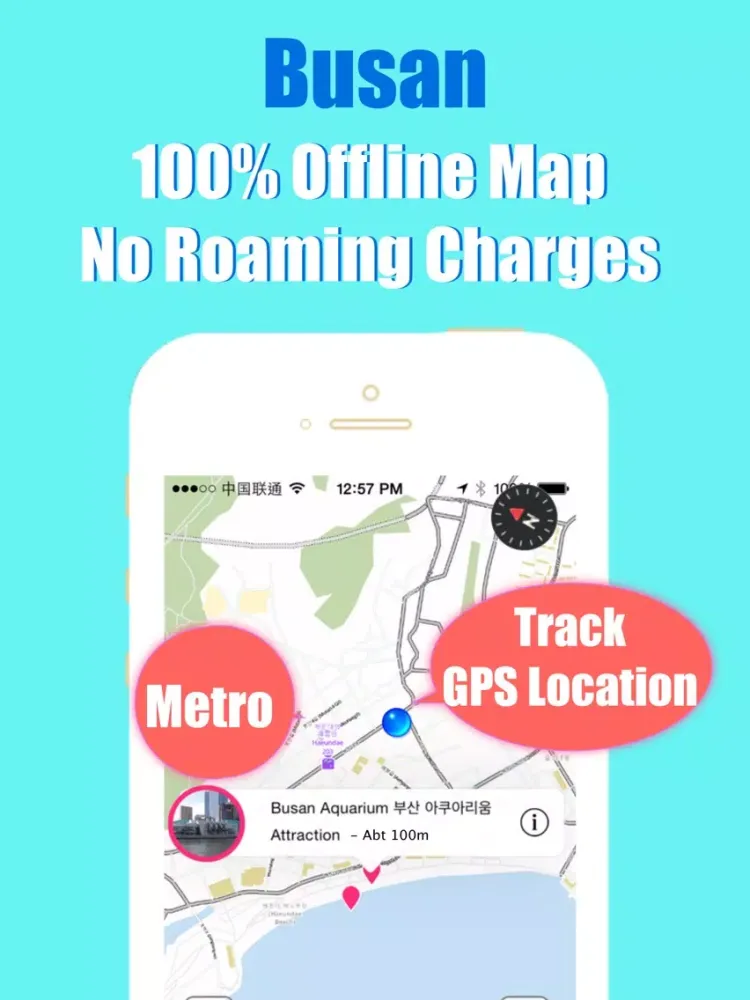 Busan metro transit trip advisor korail map guide iPad  Screenshots
