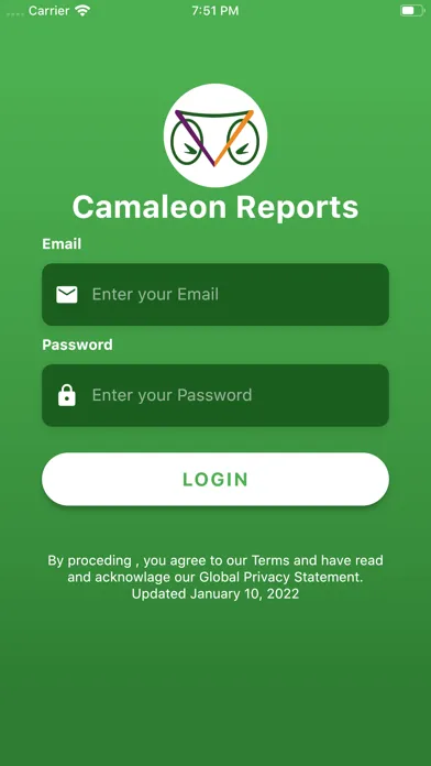 Camaleon Reports App Screenshots