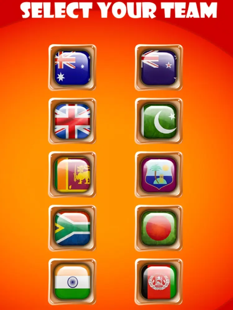 amaze cricket ball games iPad  Screenshots