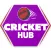 Cricket Hub - Prediction