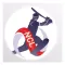 Night Cricket League