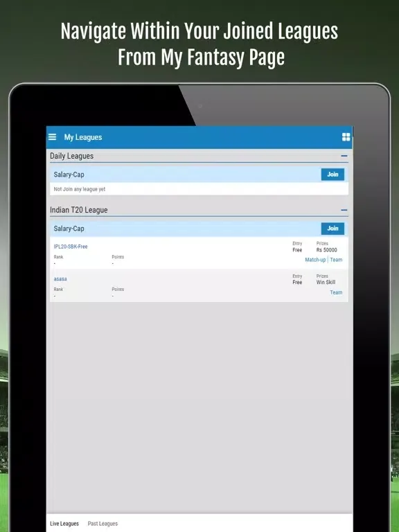 Cricket Country Fantasy League iPad  スクリーンショット