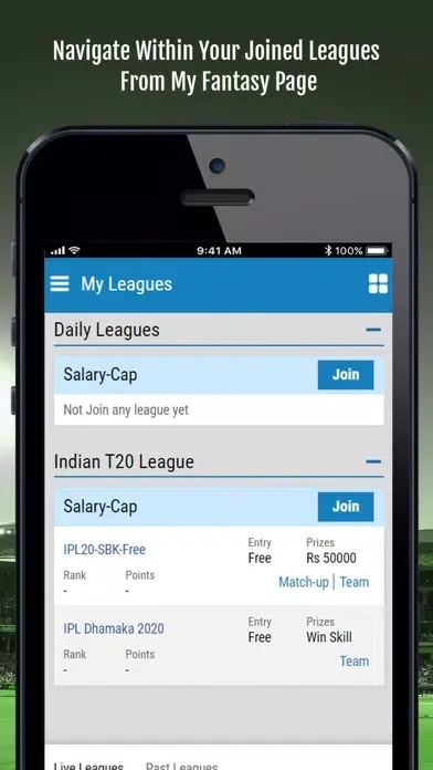 Cricket Country Fantasy League スクリーンショット