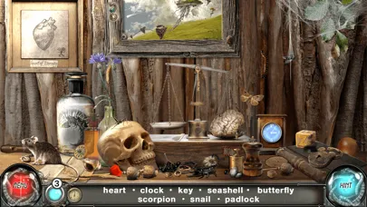 Скриншоты Time Trap: Hidden Object Games