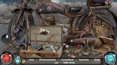 Скриншоты Time Trap: Hidden Object Games