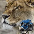 Hidden Objects Games: Animals Hidden Objects Games: Animals
