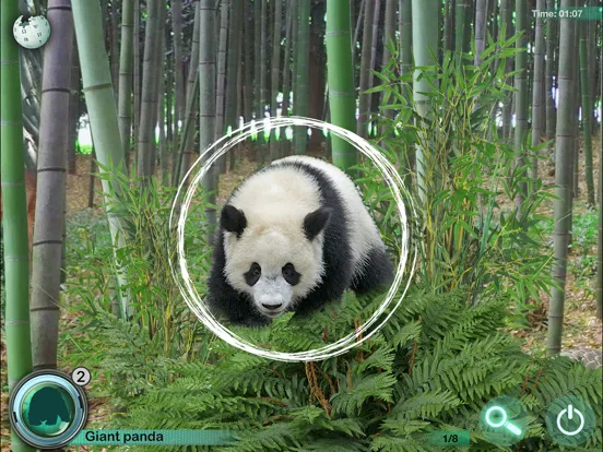 Hidden Objects Games: Animals iPad  স্ক্রিনশট
