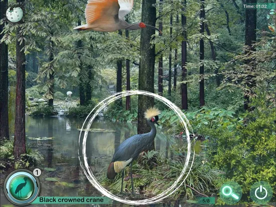 Hidden Objects Games: Animals iPad  স্ক্রিনশট