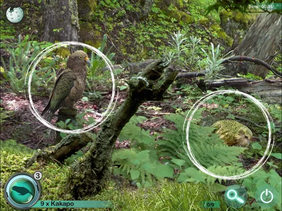 Hidden Objects Games: Animals iPad  স্ক্রিনশট