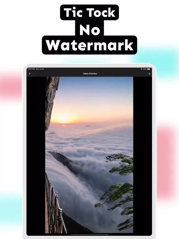 TikMark - Save Tok Video iPad  Ekran Görüntüleri