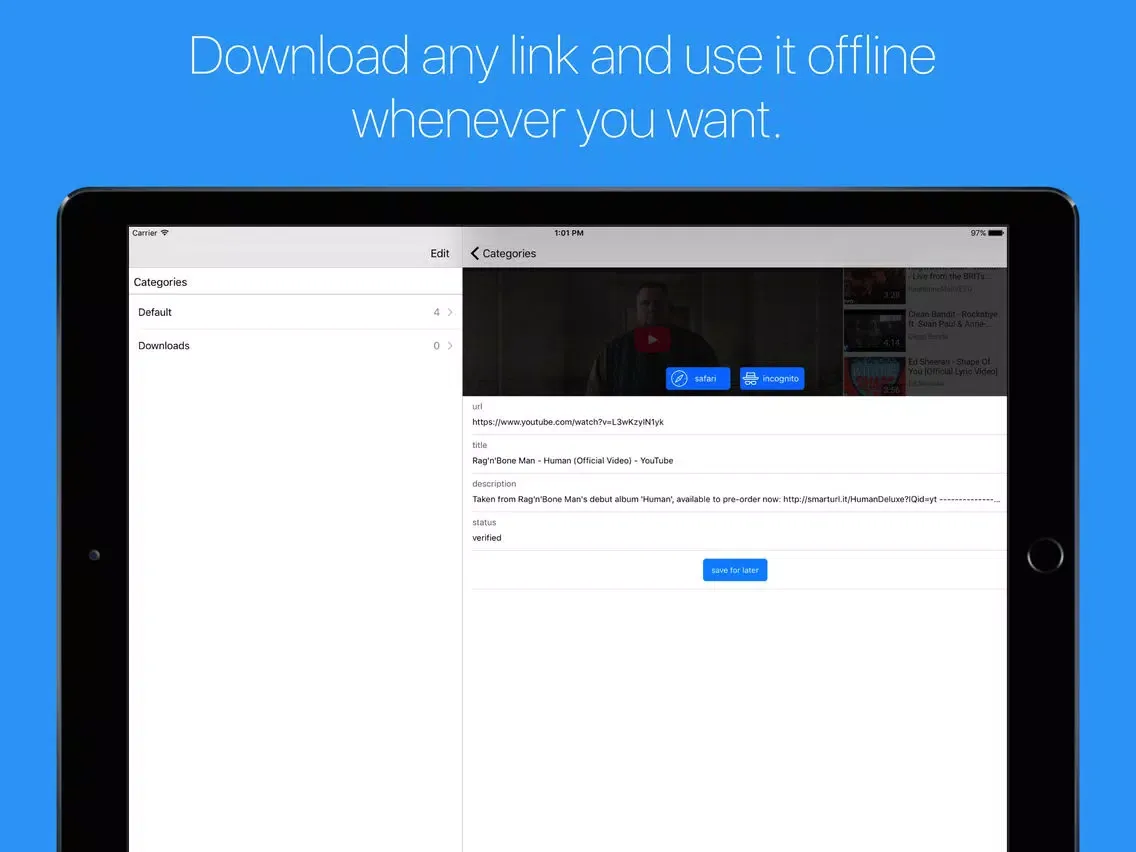 Captures d'écran de Links - files downloader and bookmark manager iPad 