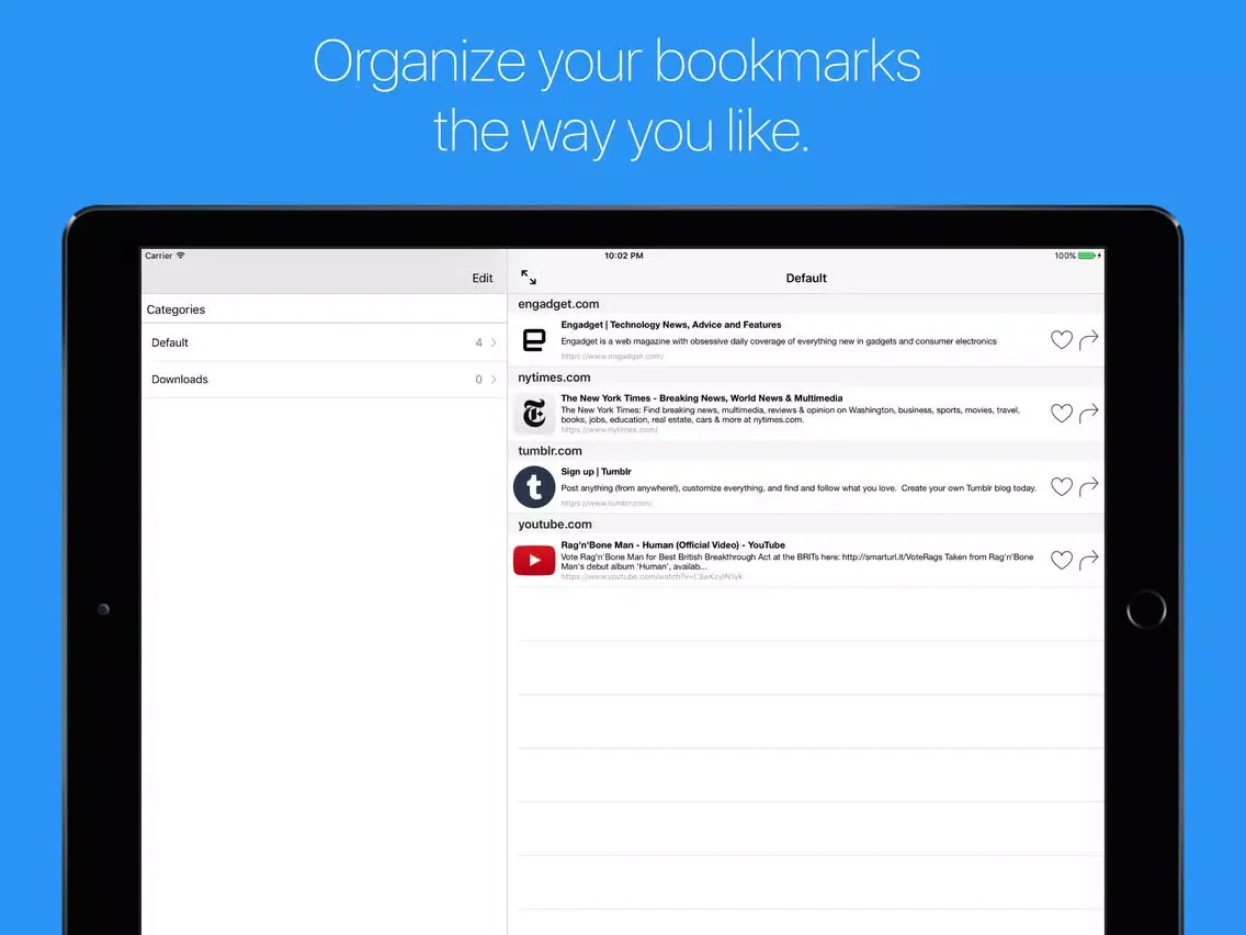Captures d'écran de Links - files downloader and bookmark manager iPad 