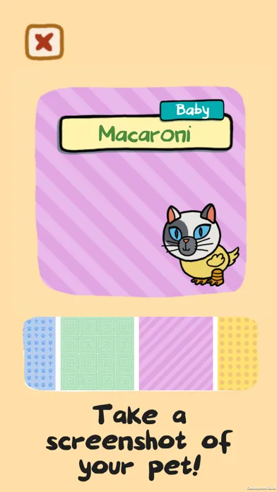 Petmix Screenshots