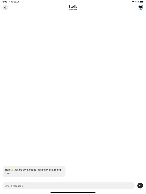 تصاویر Stella - AI assistant iPad 