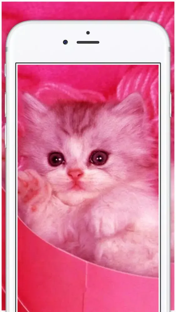 Cute Pink - Girly Chat backgrounds & Wallpapers ! Screenshots