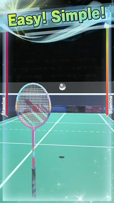 Badminton3D Real Badminton应用截图