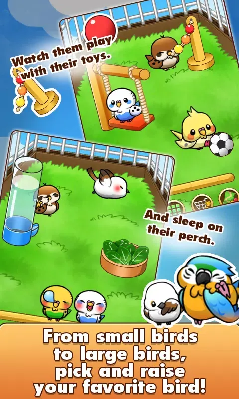 Bird Life Screenshots