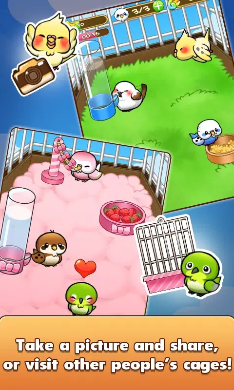 Bird Life Screenshots