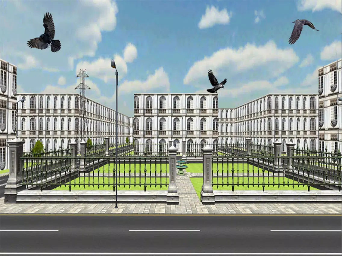 تصاویر Crow Attack City : Bird Hunting iPad 