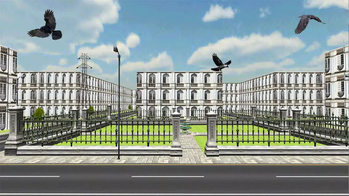 تصاویر Crow Attack City : Bird Hunting
