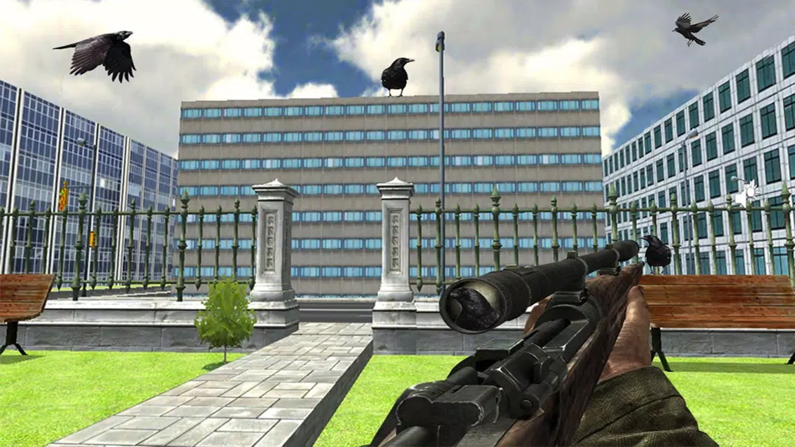 تصاویر Crow Attack City : Bird Hunting