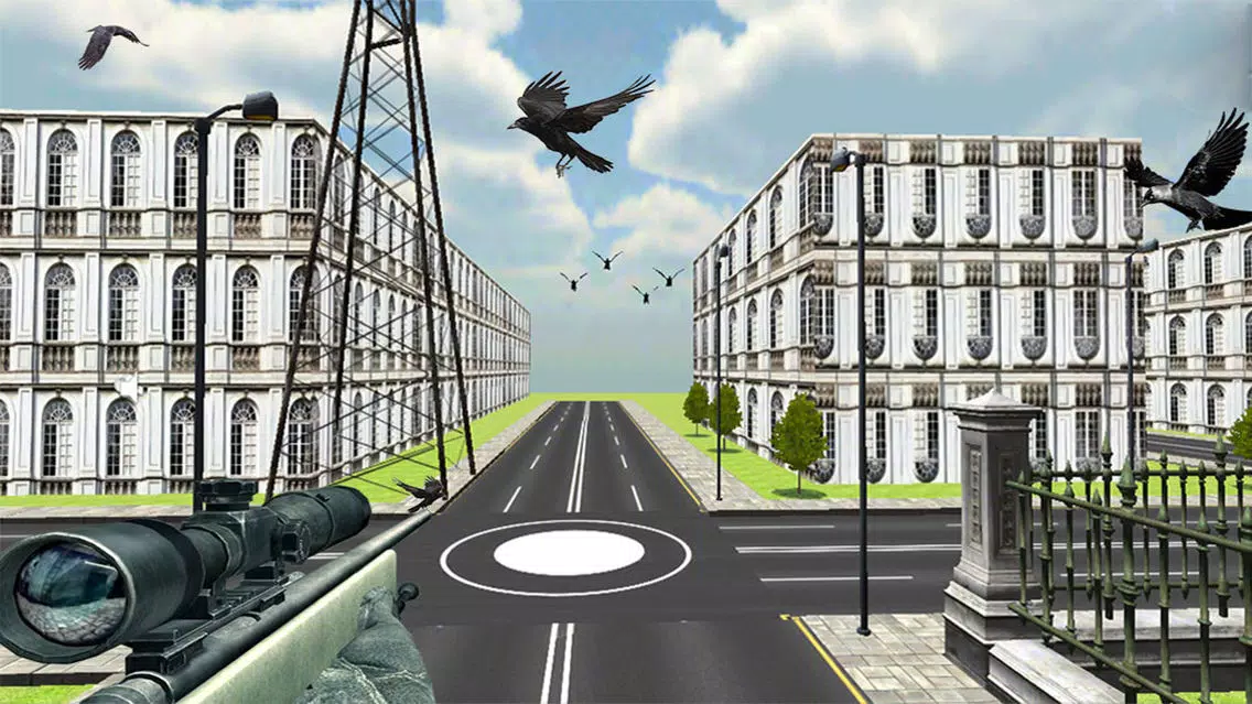 تصاویر Crow Attack City : Bird Hunting