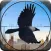 City Crow Hunting : Forest Bird Sniper Shooting Game Free