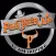 Partner Up Team Roping