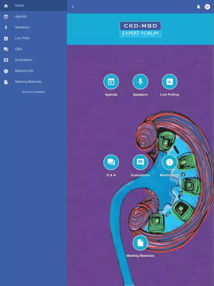 تصاویر CKD-MBD Expert Forum 2019 iPad 