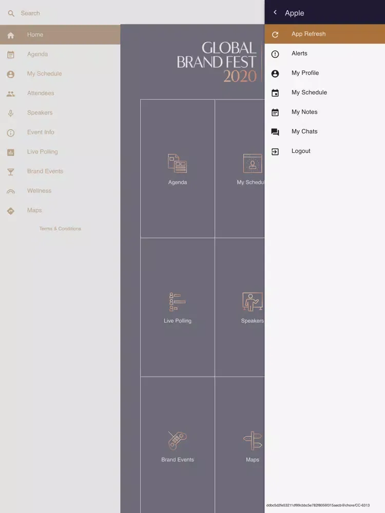Tangkapan skrin Global Brand Fest 2020 iPad 