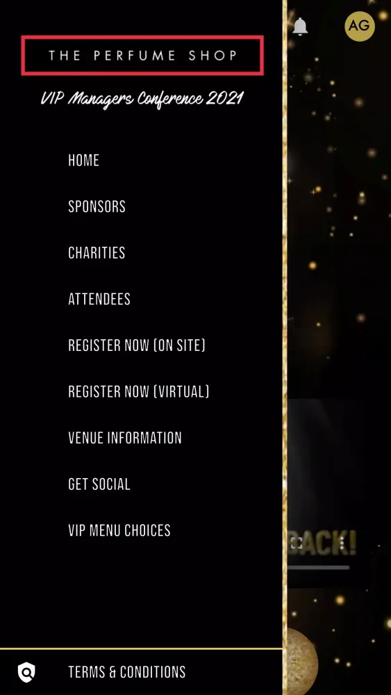 TPS VIP Conference 2021 Screenshots