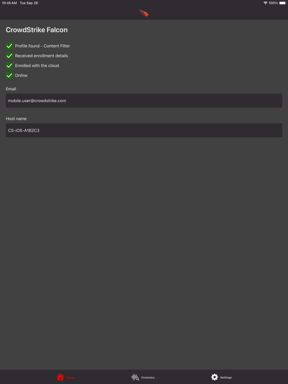 CrowdStrike Falcon iPad  스크린샷