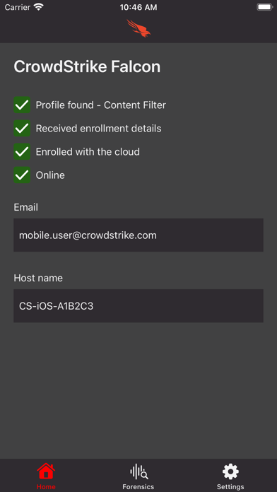 CrowdStrike Falcon 스크린샷