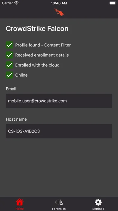 CrowdStrike Falcon应用截图