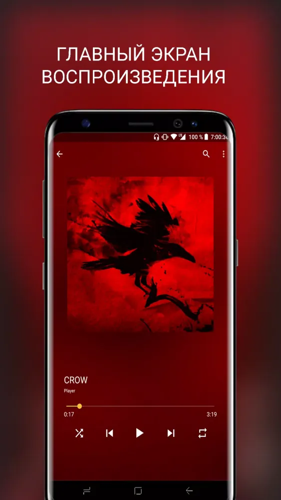 CROW Player應用截圖