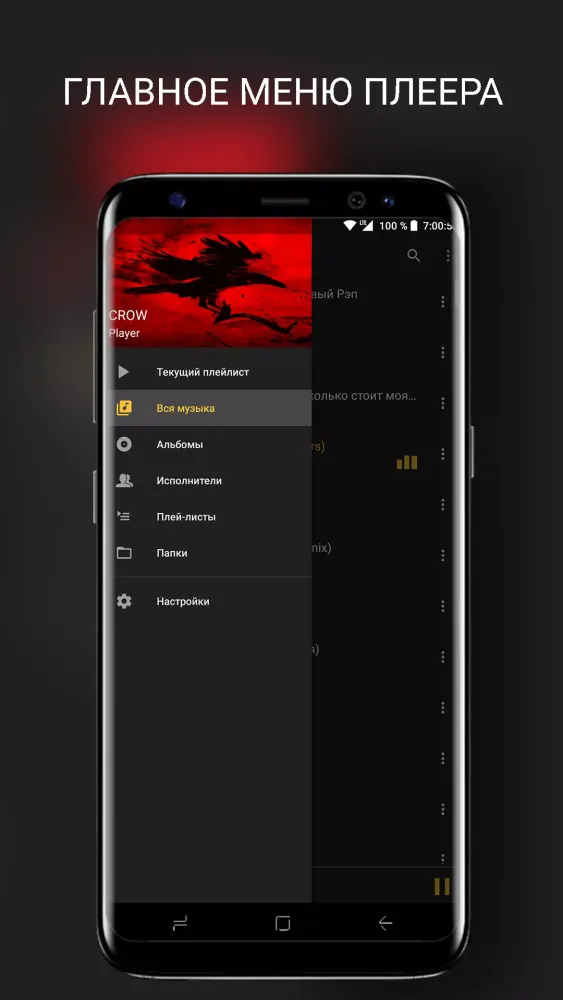 CROW Player應用截圖