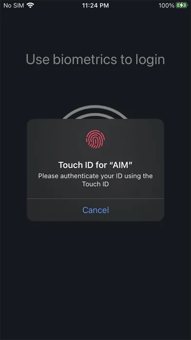 Скриншоты AIM(Advanced Identity Manager)
