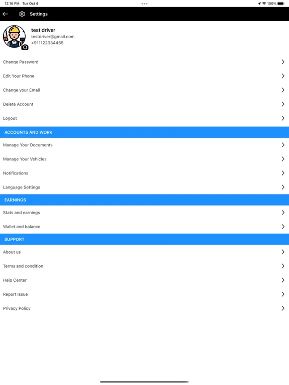 Zrzuty ekranu Cruising Driver iPad 