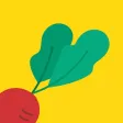 Salad Timer - Study & Focus Salad Timer - Study & Focus
