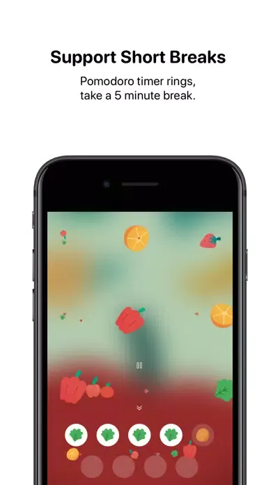 Salad Timer - Study & Focus Screenshots
