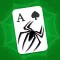 Spider Solitaire - card puzzle