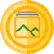 Image Coin