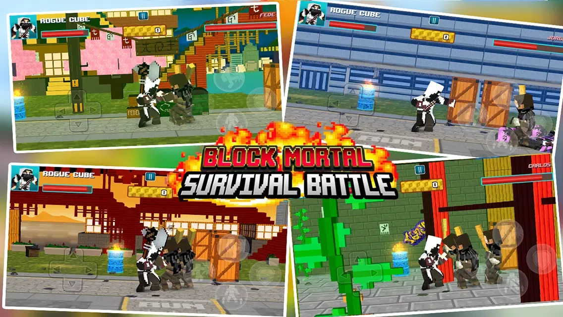 Block Mortal Survival Battle Screenshots