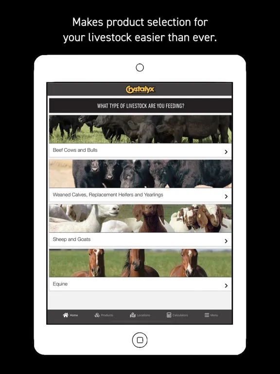 ภาพหน้าจอของ Crystalyx iPad 