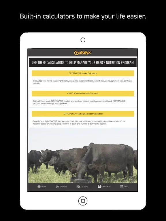 ภาพหน้าจอของ Crystalyx iPad 