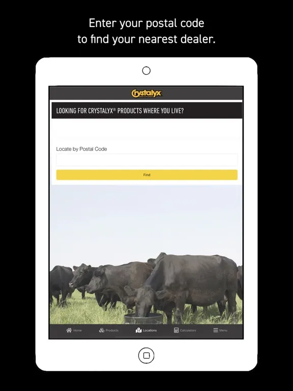 ภาพหน้าจอของ Crystalyx iPad 