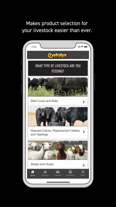 ภาพหน้าจอของ Crystalyx